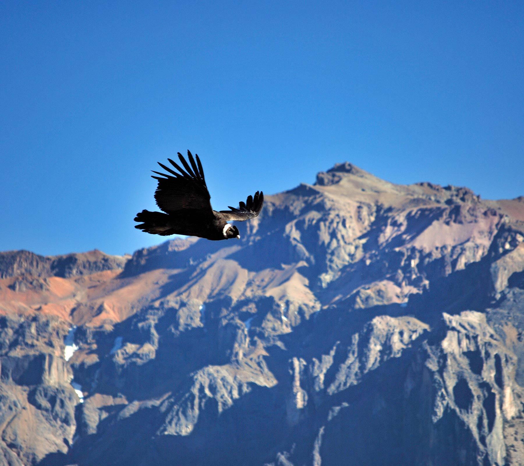 Holidays to peru inca trail