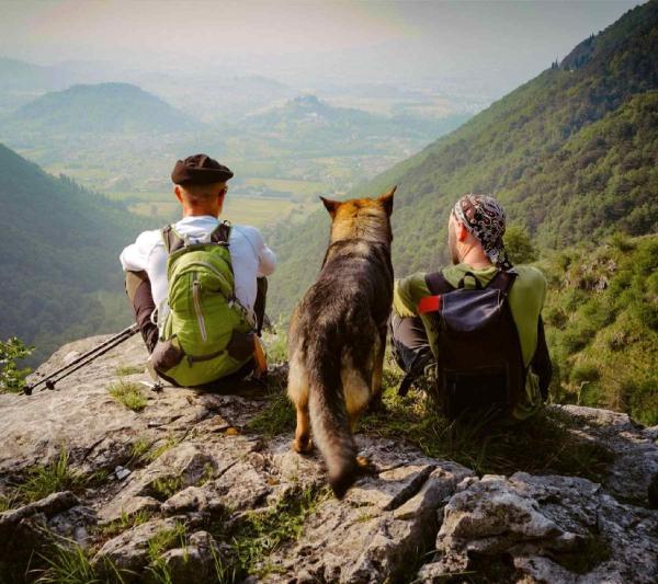 Traveling to Peru with Pets: 2026/2027 Official Entry Requirements