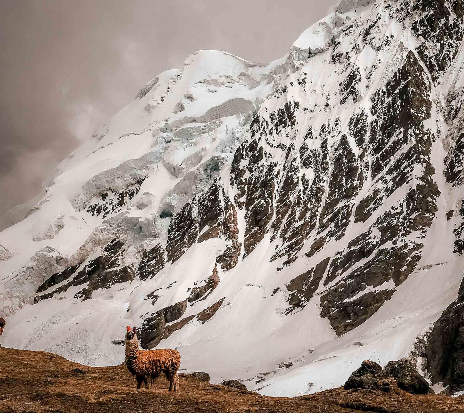 Salkantay Peru