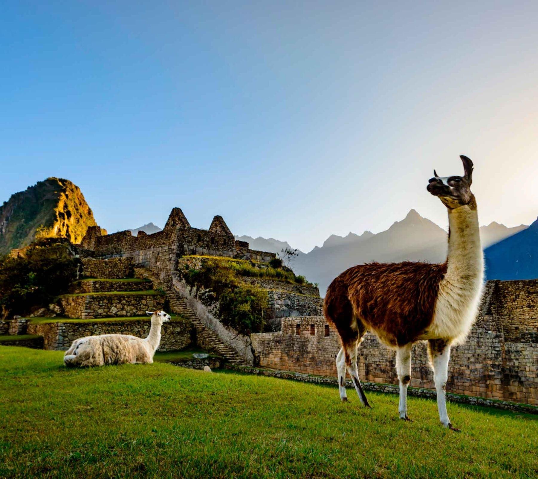 Shopping Guide in Cusco